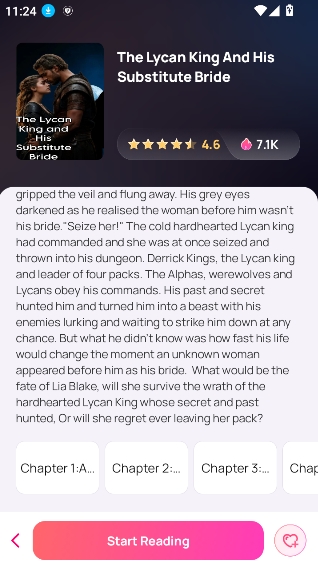 NovelBuddy1