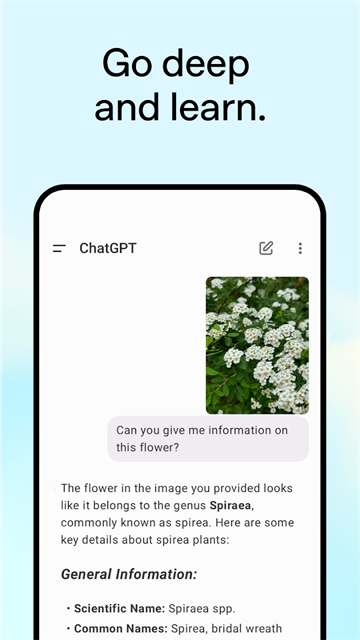 CHATGPT官网版3