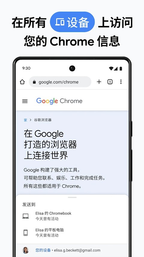 Google浏览器截图2