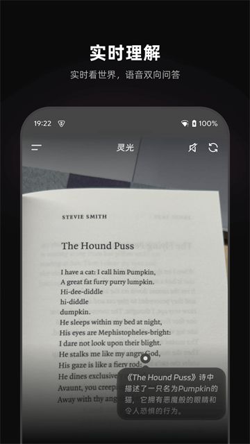 灵光截图1