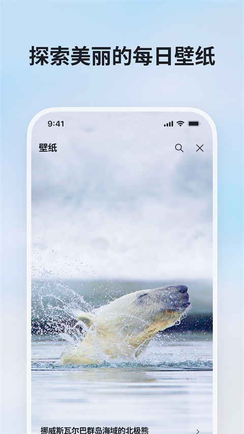 必应国际版截图3