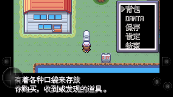 口袋妖怪彼岸花绽放之夜截图2