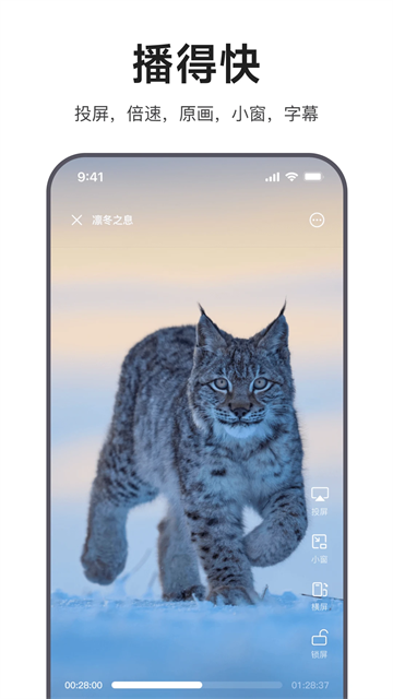 迅雷浏览器手机版截图3